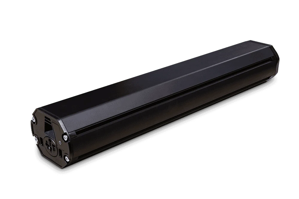 Bosch Powertube 630Wh Horizontaal E-Bike Vision (BES2)