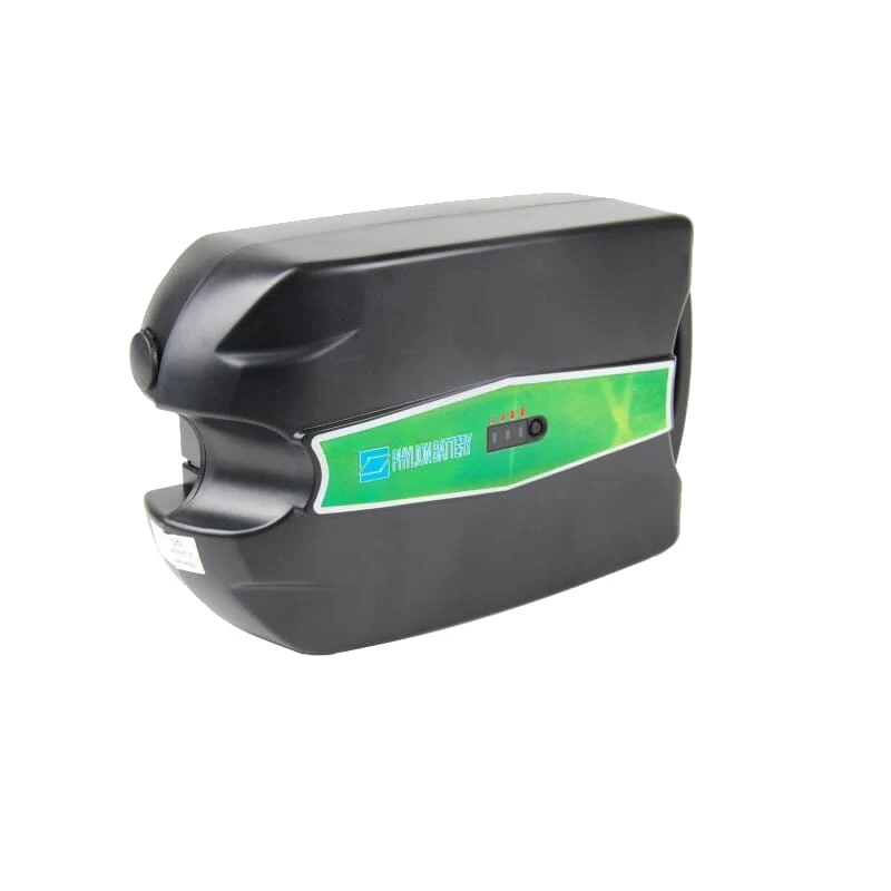 Phylion XH259-10J Fietsaccu 24V 12Ah LittleFrog - Image 2